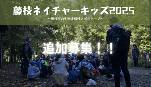 【追加募集！！】藤枝ネイチャーキッズ2025～藤枝市の生物多様性とビオトープ～